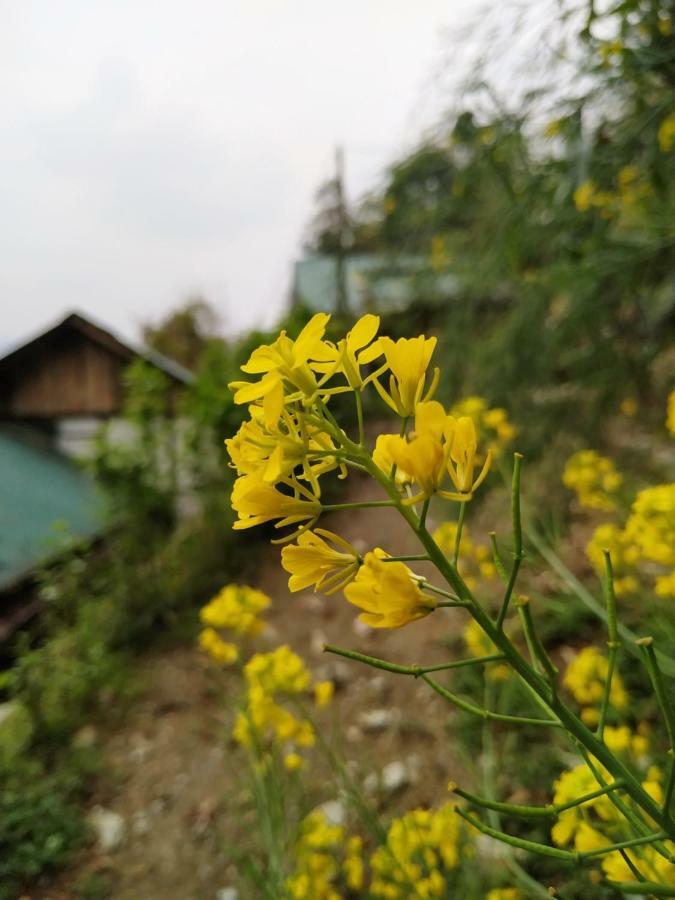Enchanted Forest Farmstay Gangtok Exterior photo